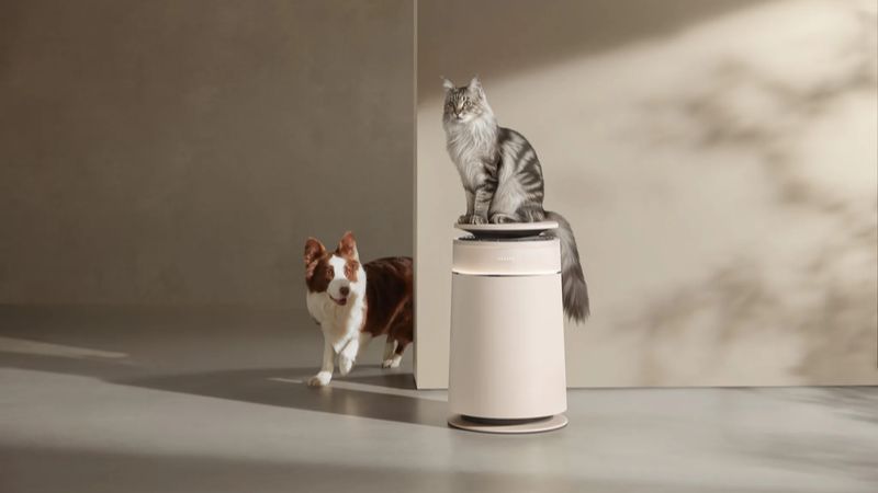 Máy Lọc Không Khí Dreame Fp10