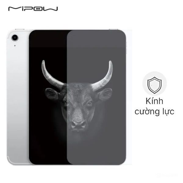 Miếng dán iPad 10/iPad 11 10.9 inch Mipow