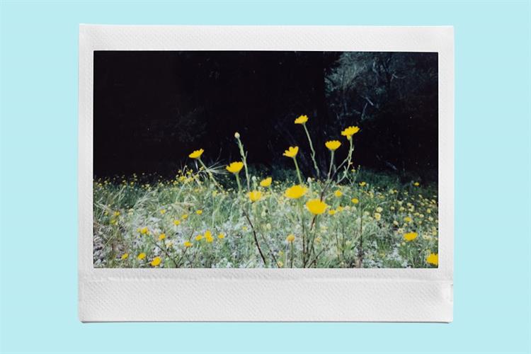 Phim chụp ảnh lấy liền Fujifilm Instax Wide WW2 (NEW) Màu Trắng