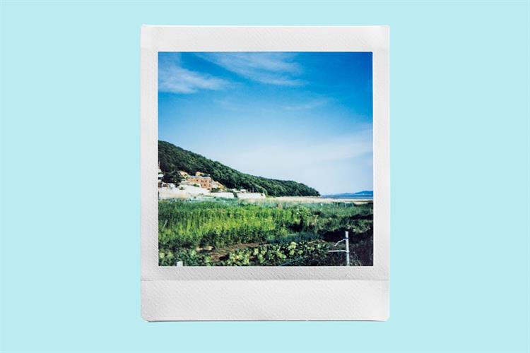 Phim chụp ảnh lấy liền Fujifilm Instax Square Plain (10/PK) Màu Trắng