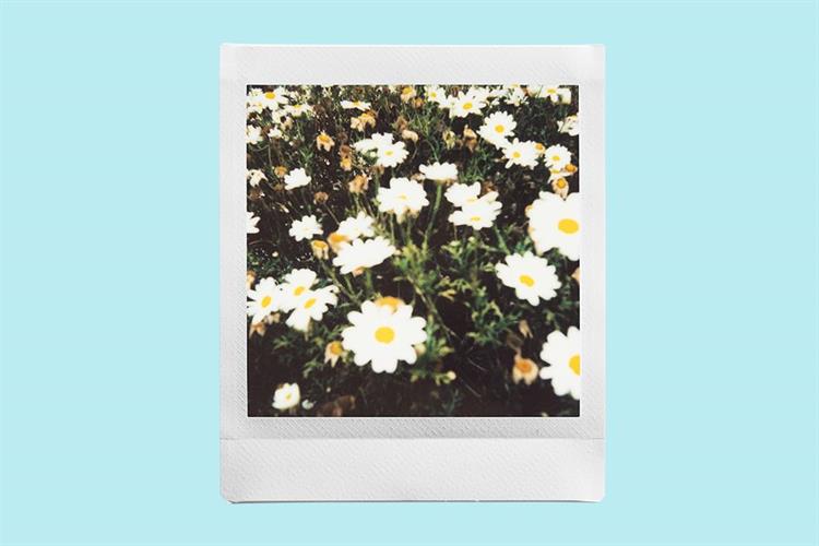 Phim chụp ảnh lấy liền Fujifilm Instax Square Plain (10x2/PK) Màu Trắng