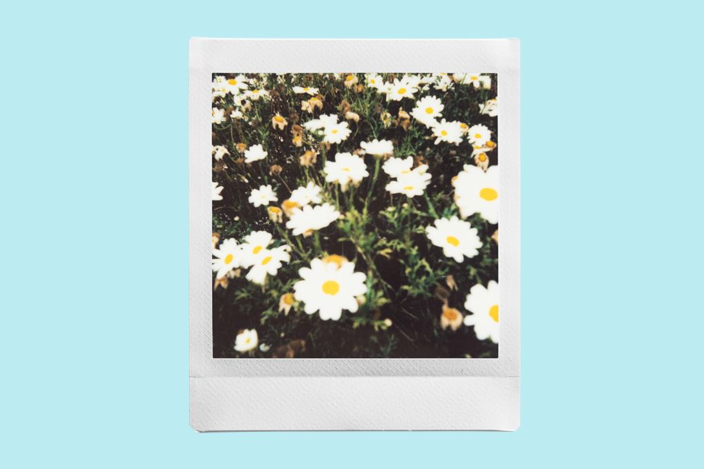 Phim chụp ảnh lấy liền Fujifilm Instax Square Plain (10x2/PK) - 3