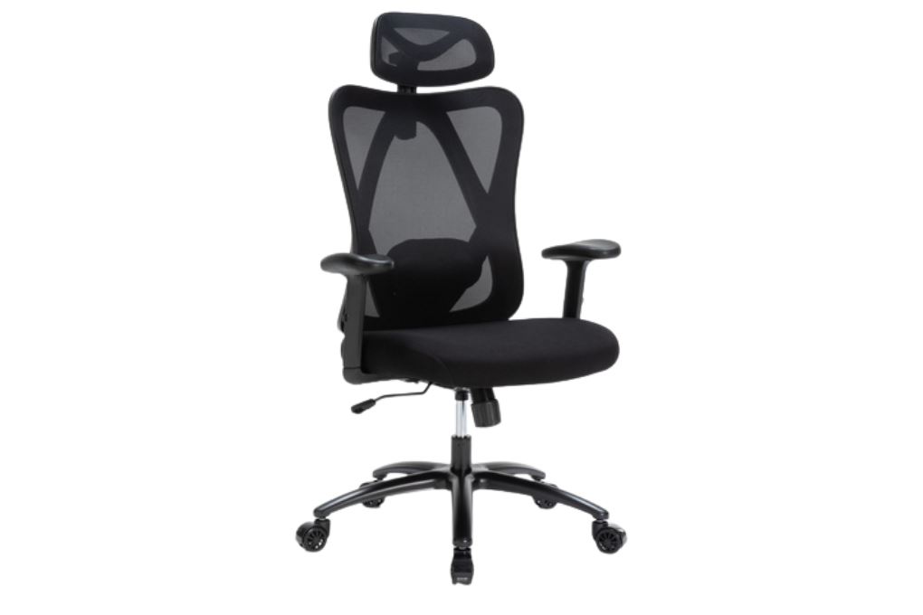 Ghế Công Thái Học Ergonomic WARRIOR Hero series WEC501 Plus