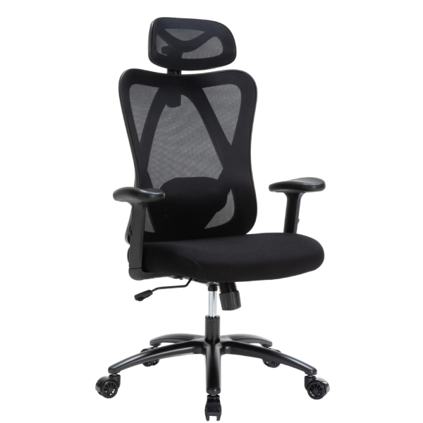 Ghế Công Thái Học Ergonomic WARRIOR Hero series WEC501 Plus