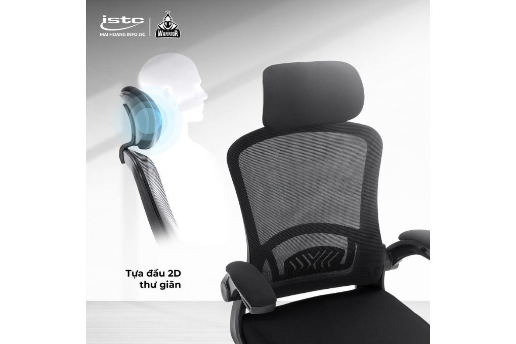 Ghế công thái học Ergonomic WARRIOR Pawn Series WEC106 Màu Đen