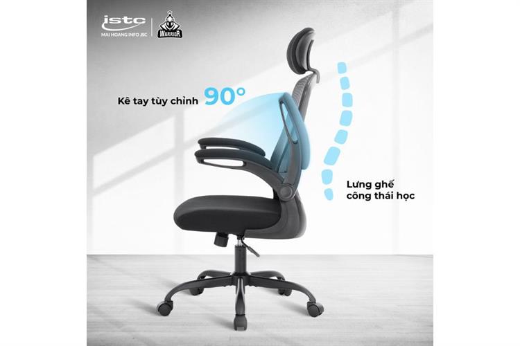 Ghế công thái học Ergonomic WARRIOR Pawn Series WEC106 Màu Đen