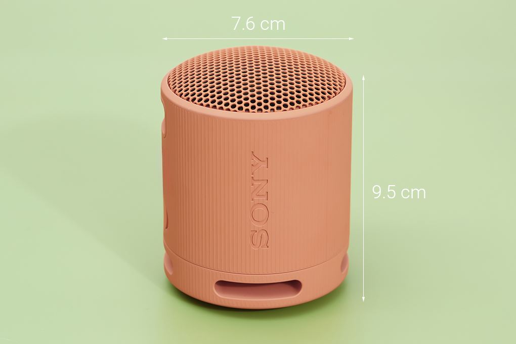 Loa Bluetooth Sony SRS-XB100 - 10