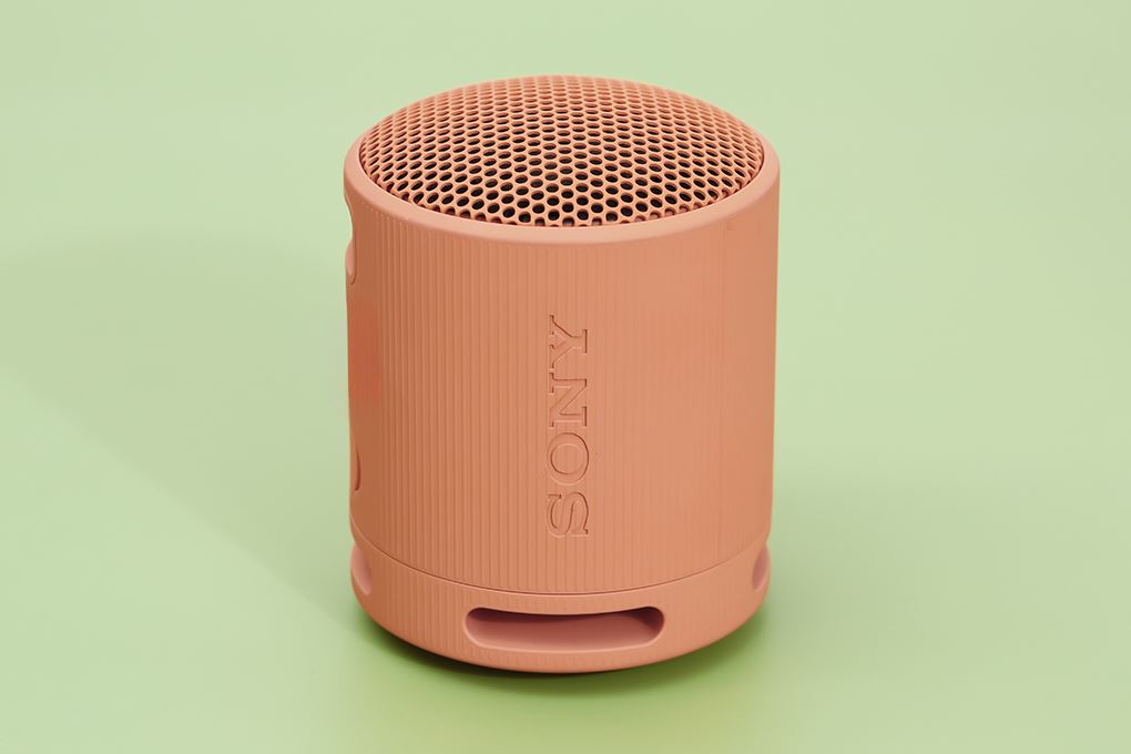 Loa Bluetooth Sony SRS-XB100 - 2