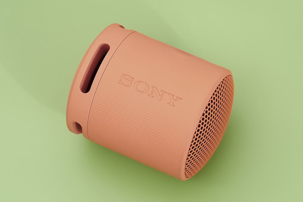 Loa Bluetooth Sony SRS-XB100 - 3