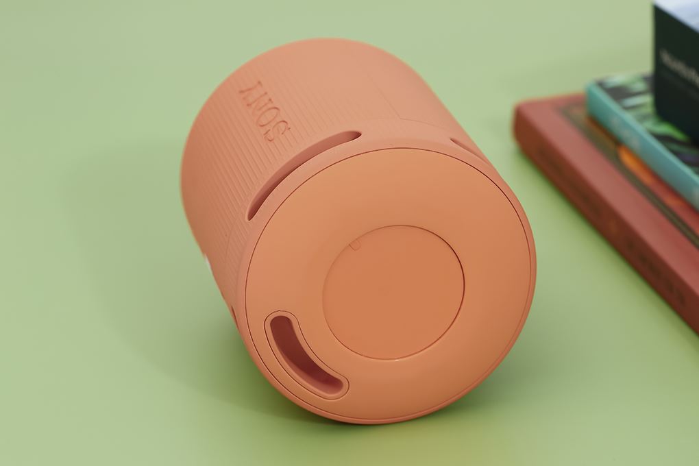 Loa Bluetooth Sony SRS-XB100 - 5