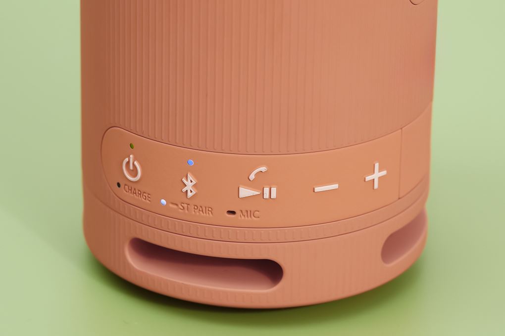 Loa Bluetooth Sony SRS-XB100 - 6