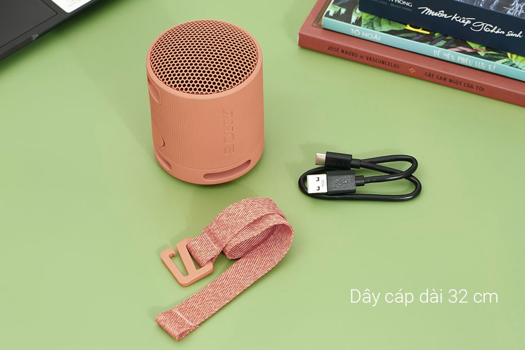 Loa Bluetooth Sony SRS-XB100 - 8