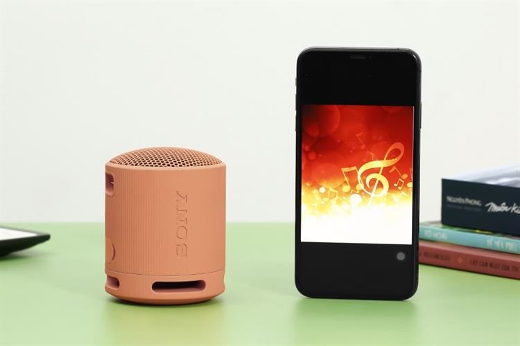 Loa Bluetooth Sony SRS-XB100 Màu Cam