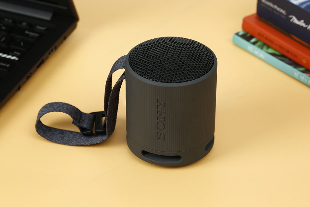 Loa Bluetooth Sony SRS-XB100 Màu Đen