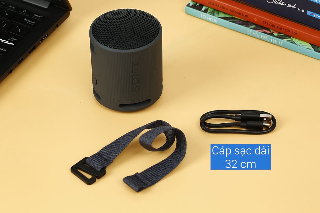 Loa Bluetooth Sony SRS-XB100 Màu Đen