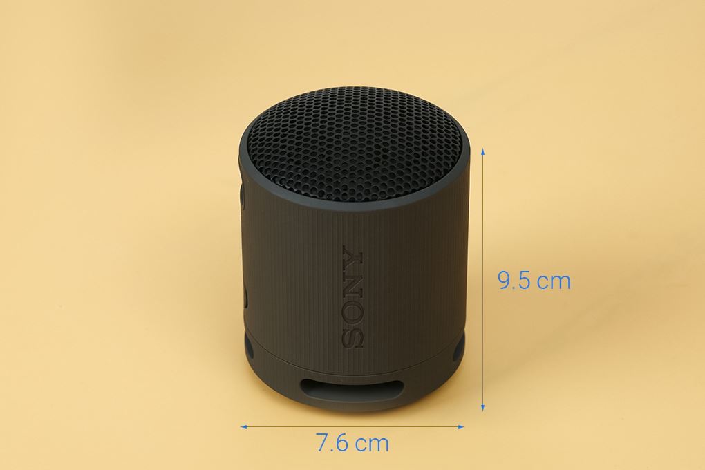 Loa Bluetooth Sony SRS-XB100 Màu Đen