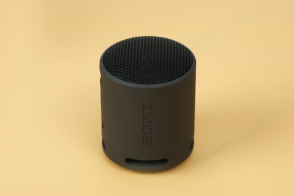 Loa Bluetooth Sony SRS-XB100 Màu Đen