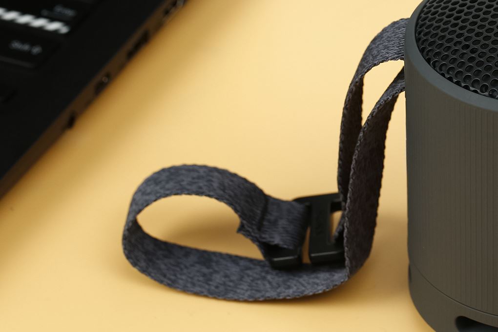 Loa Bluetooth Sony SRS-XB100 Màu Đen