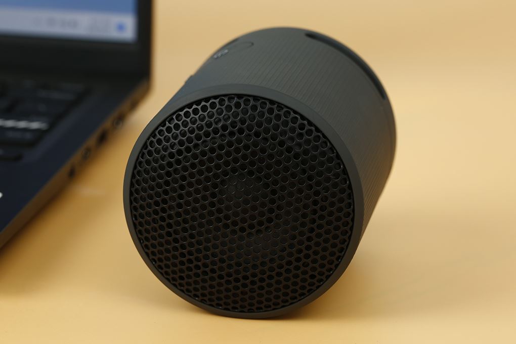Loa Bluetooth Sony SRS-XB100 Màu Đen