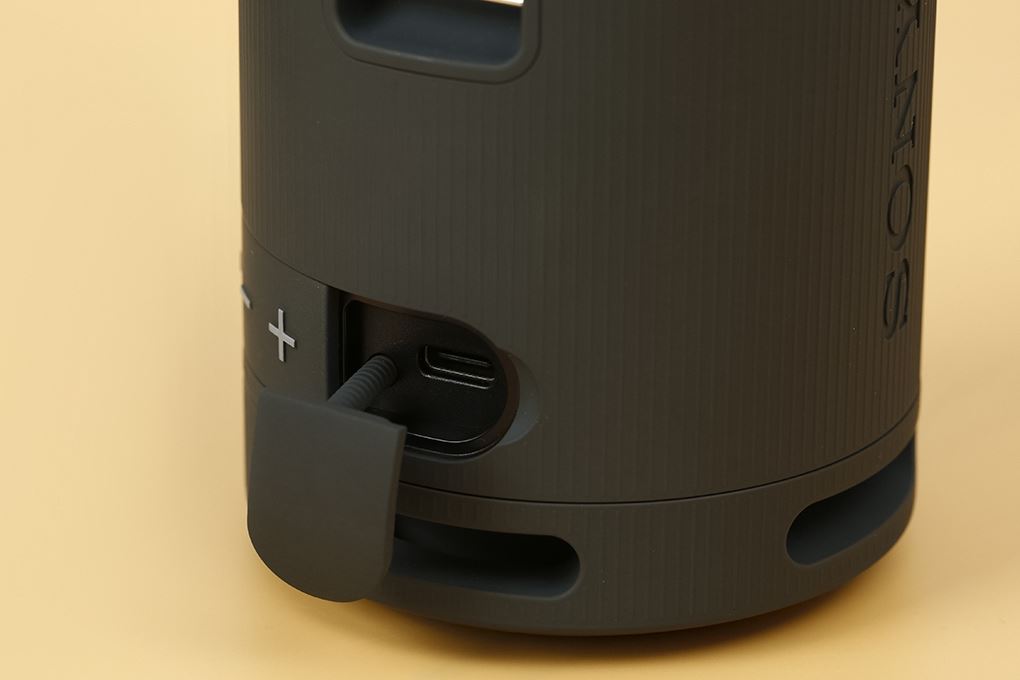 Loa Bluetooth Sony SRS-XB100 Màu Đen