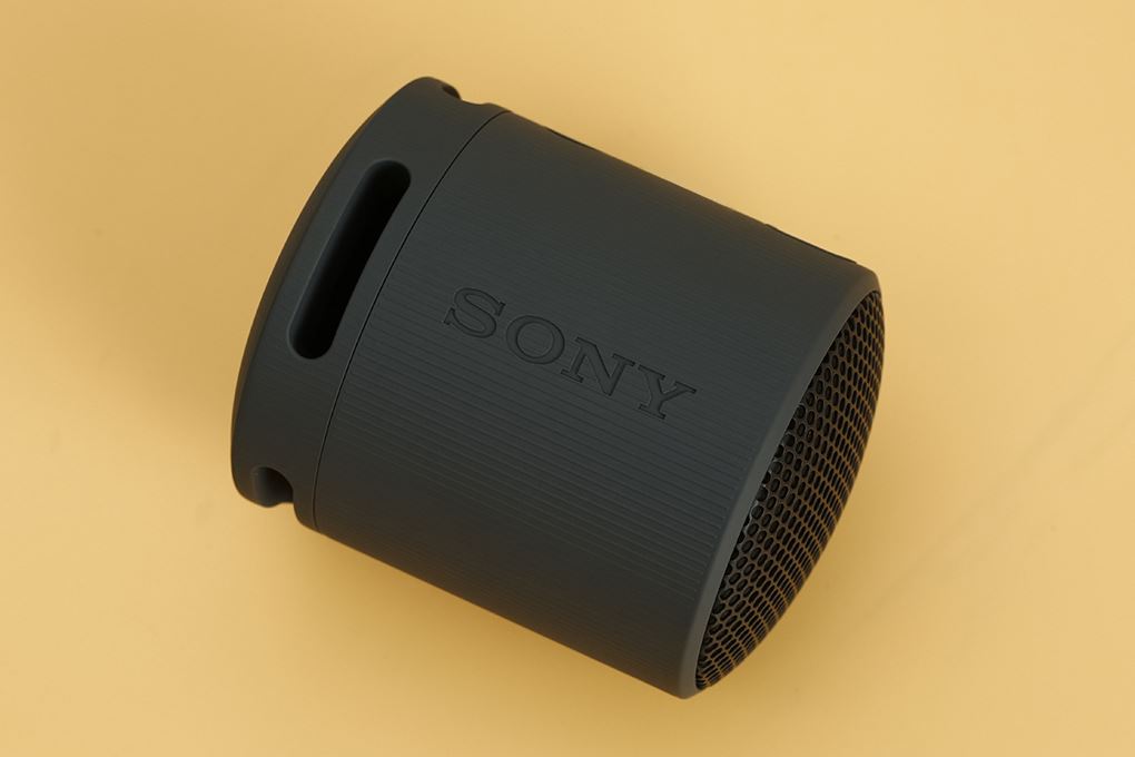 Loa Bluetooth Sony SRS-XB100 Màu Đen