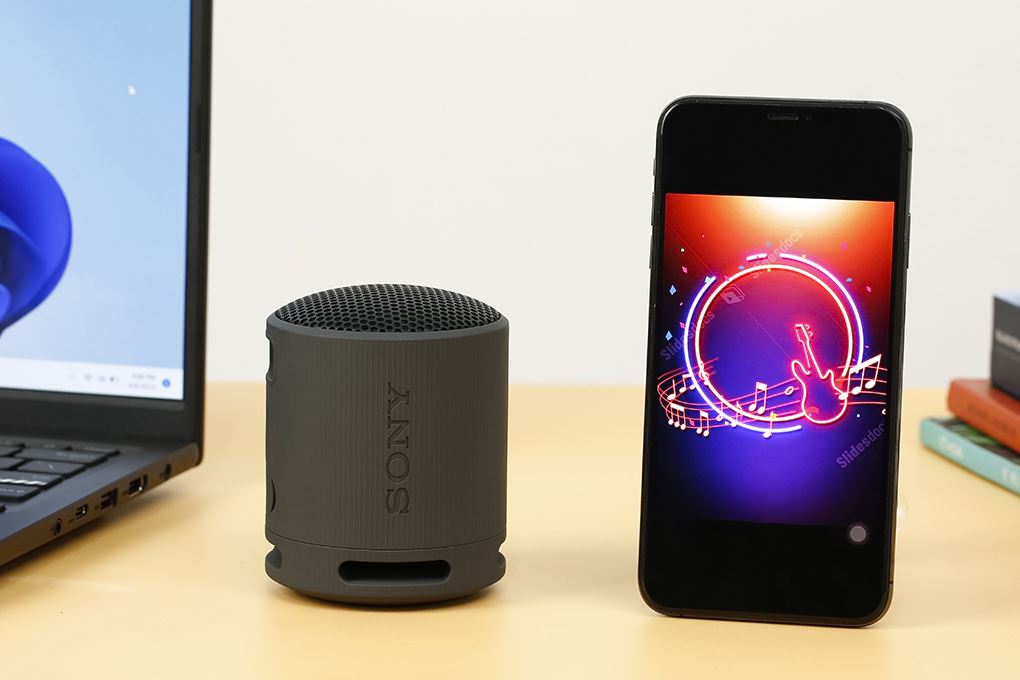 Loa Bluetooth Sony SRS-XB100 Màu Đen