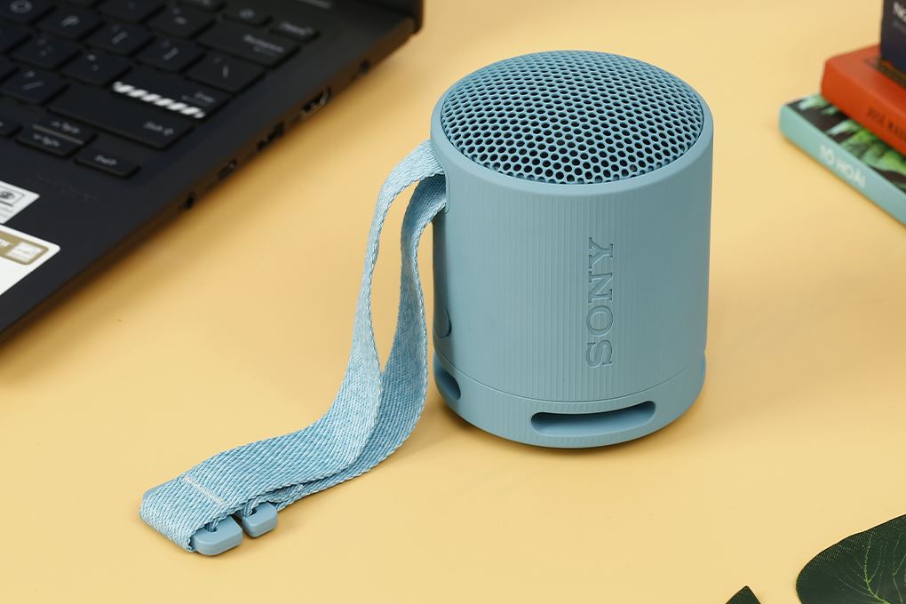 Loa Bluetooth Sony SRS-XB100 Màu Xanh mint