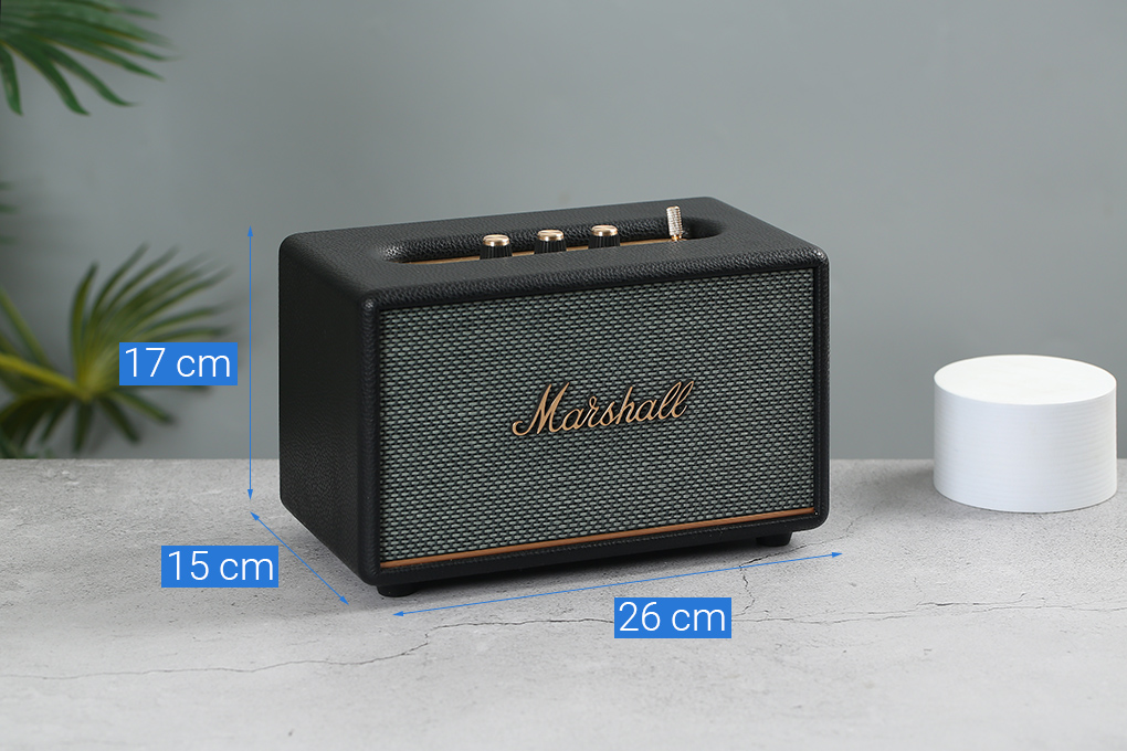 Loa Bluetooth Marshall Acton III - 11