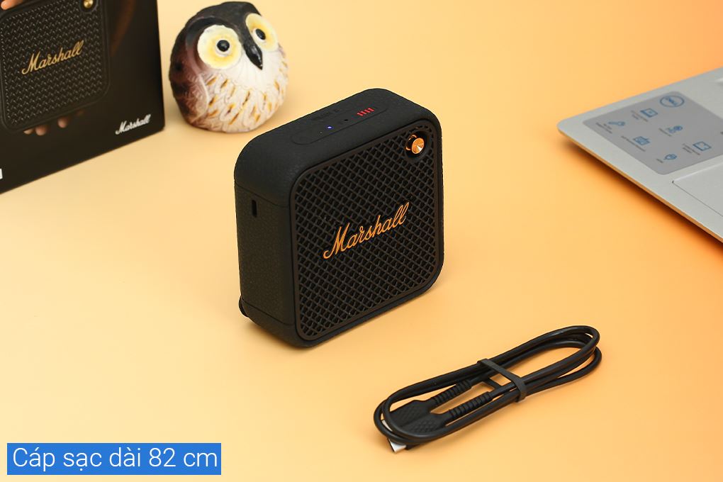 Loa Bluetooth Marshall Willen II - 11
