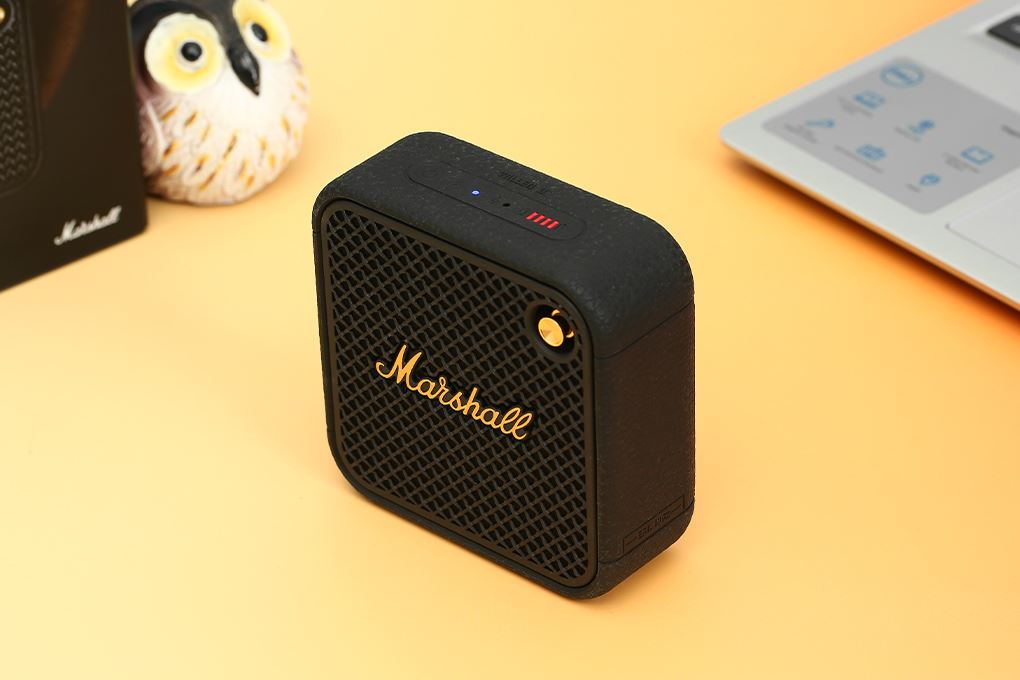 Loa Bluetooth Marshall Willen II - 7