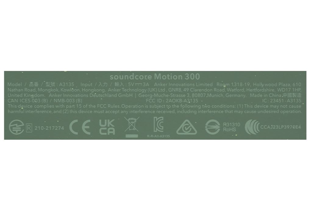 Loa Bluetooth soundcore Motion 300 - 15