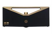Loa Bluetooth BUGANi Brief Pro