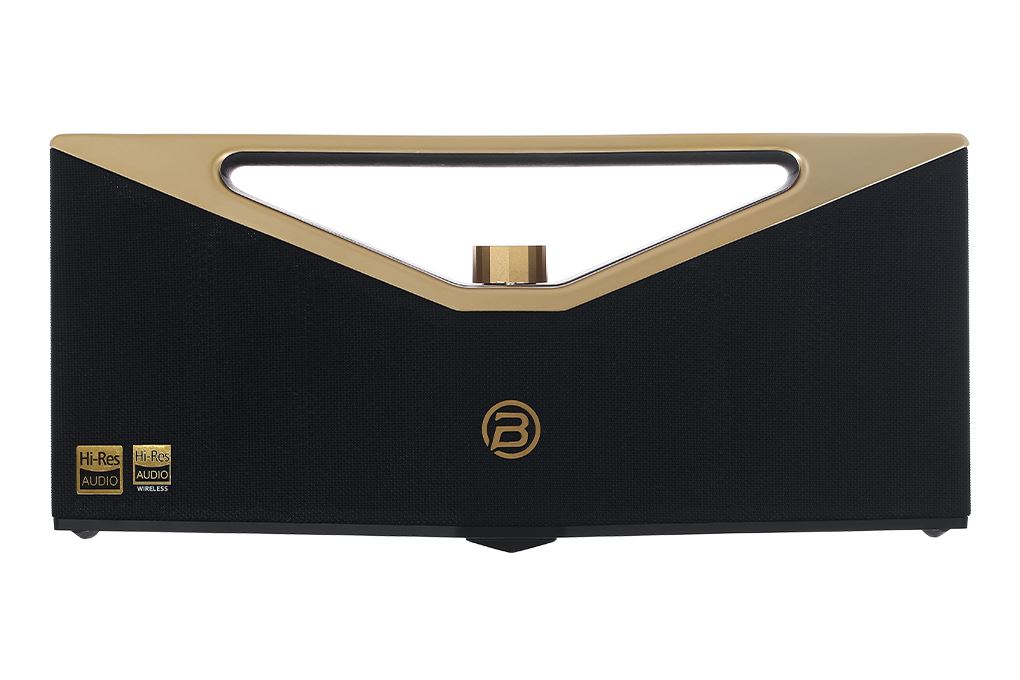 Loa Bluetooth BUGANi Brief Pro
