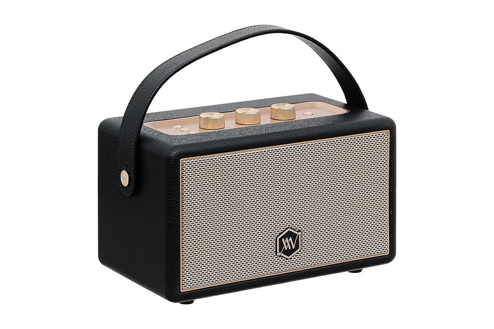 Loa Bluetooth Alpha Works AW-W89 Màu Đen - Vàng