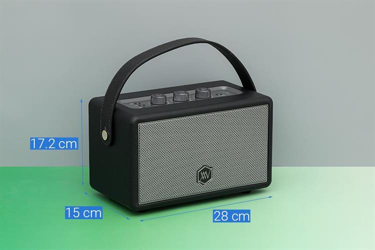 Loa Bluetooth Alpha Works AW-W89 Màu Đen - Xám