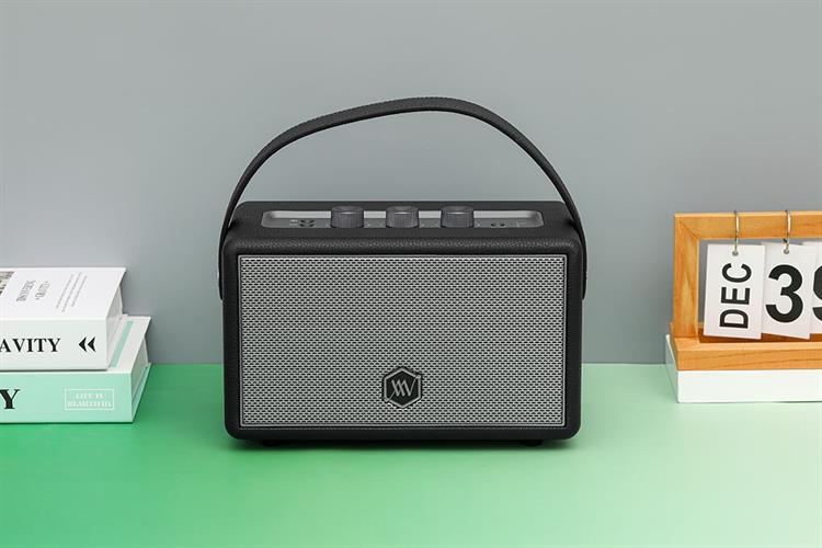 Loa Bluetooth Alpha Works AW-W89 Màu Đen - Xám