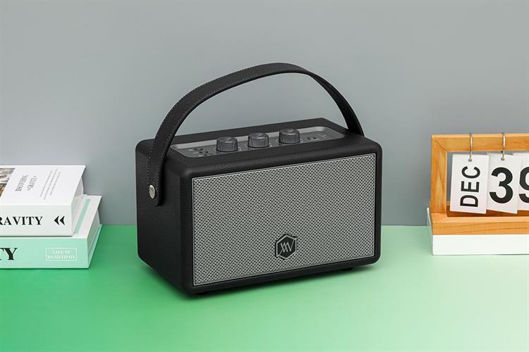 Loa Bluetooth Alpha Works AW-W89 Màu Đen - Xám