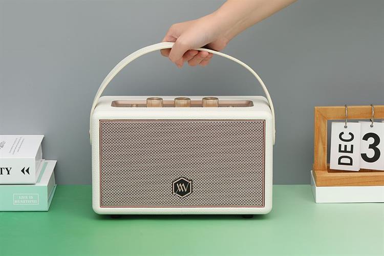 Loa Bluetooth Alpha Works AW-W89 Màu Trắng - Hồng