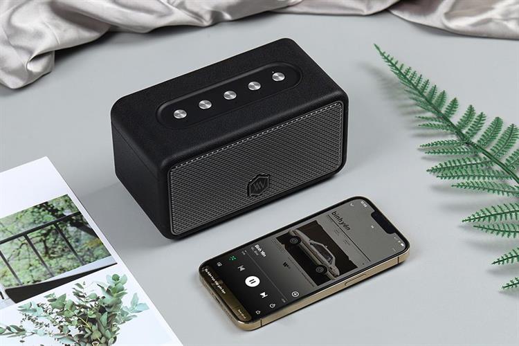 Loa Bluetooth Alpha Works AW-W39 Màu Đen - Xám