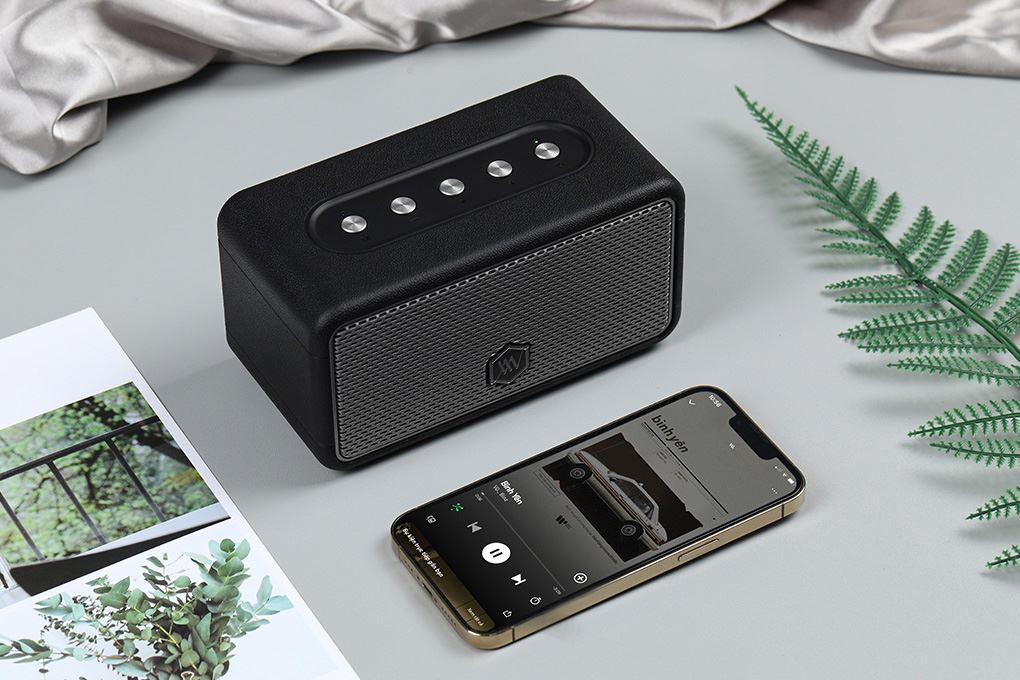 Loa Bluetooth Alpha Works AW-W39 Đen - Xám - 13