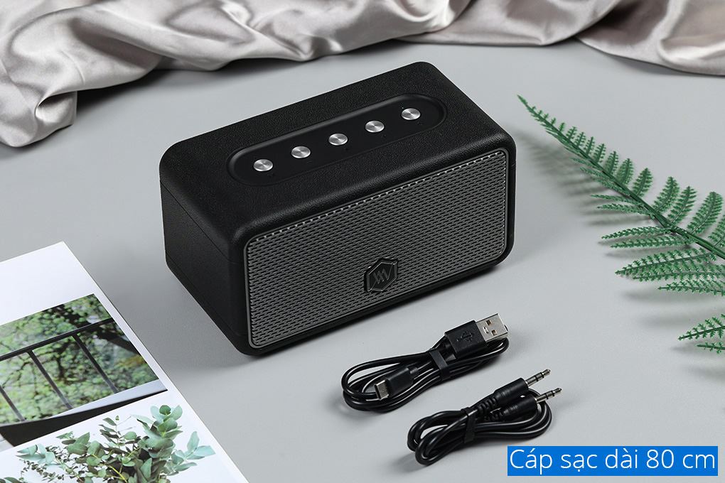 Loa Bluetooth Alpha Works AW-W39 Đen - Xám - 14