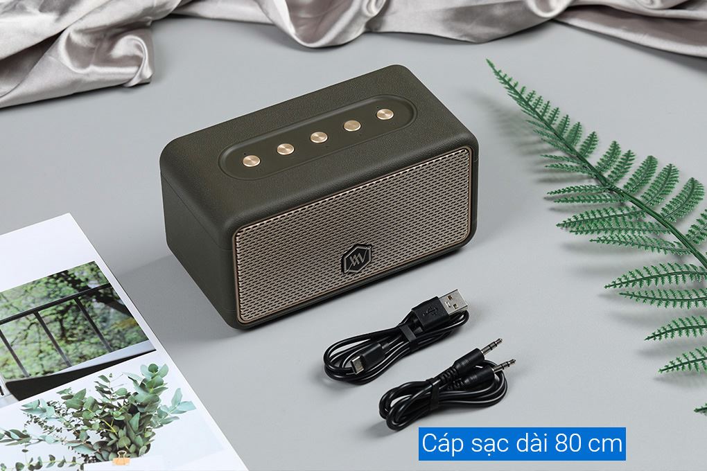 Loa Bluetooth Alpha Works AW-W39 Màu Xanh Oliu