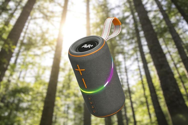 Loa Bluetooth AVA+ Freego F60 Màu Xám