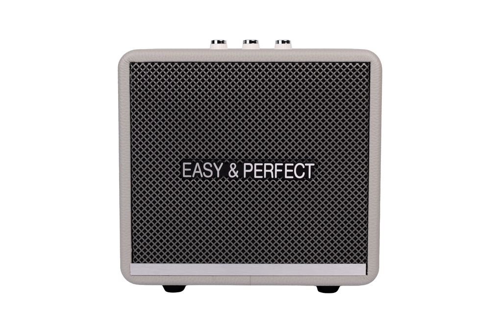 Loa karaoke xách tay Easy & Perfect EP-Windy 18W Màu Xám