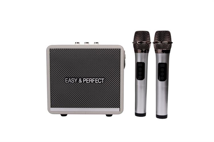 Loa karaoke xách tay Easy & Perfect EP-Windy 18W Màu Xám