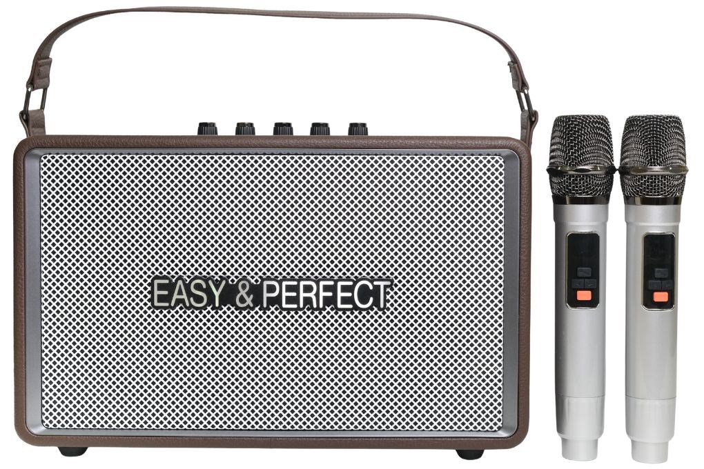 Loa karaoke xách tay Easy & Perfect EP-Votrex 160W - Nâu