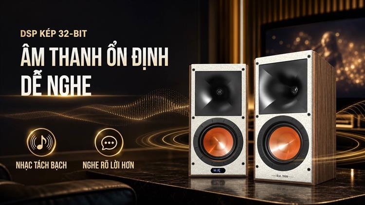 Cặp loa karaoke Paramax Euro 801 Smart 240W Màu Nâu đậm