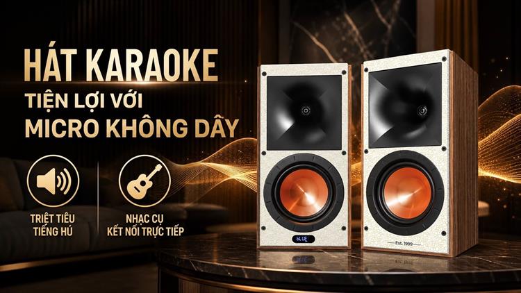 Cặp loa karaoke Paramax Euro 801 Smart 240W Màu Nâu đậm