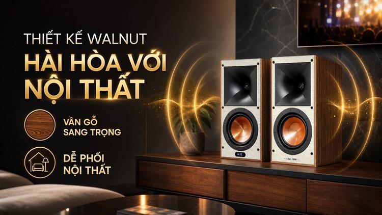 Cặp loa karaoke Paramax Euro 801 Smart 240W Màu Nâu đậm