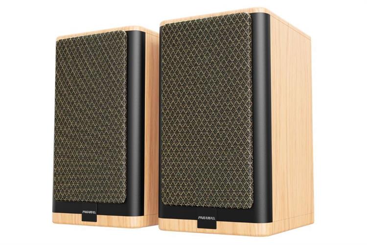 Cặp loa karaoke Paramax Homi 6 Smart 150W Màu Nâu nhạt